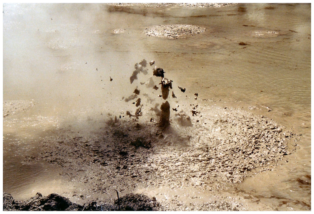 02 - Rotourua (6).jpg